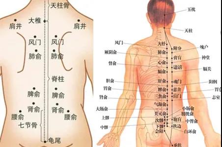 艾灸養肝疏通經絡應該灸哪里？
