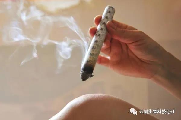 艾灸能同時調理好幾種婦科問題，簡單有奇效，現在開始灸還不晚！