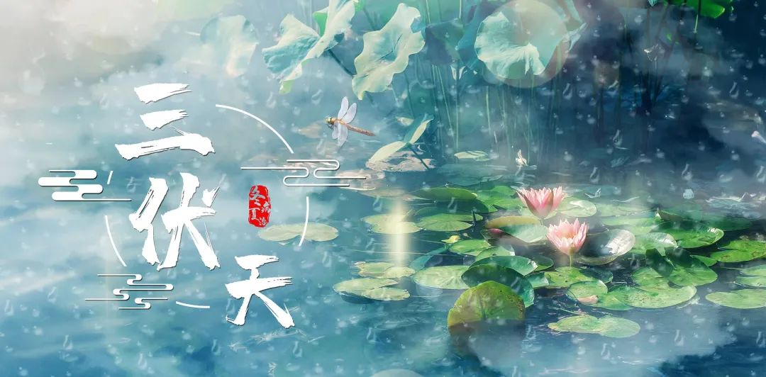 伏“邪”要重視，錯過留病根！艾草三伏貼助力“冬病夏治 春夏養(yǎng)陽”！